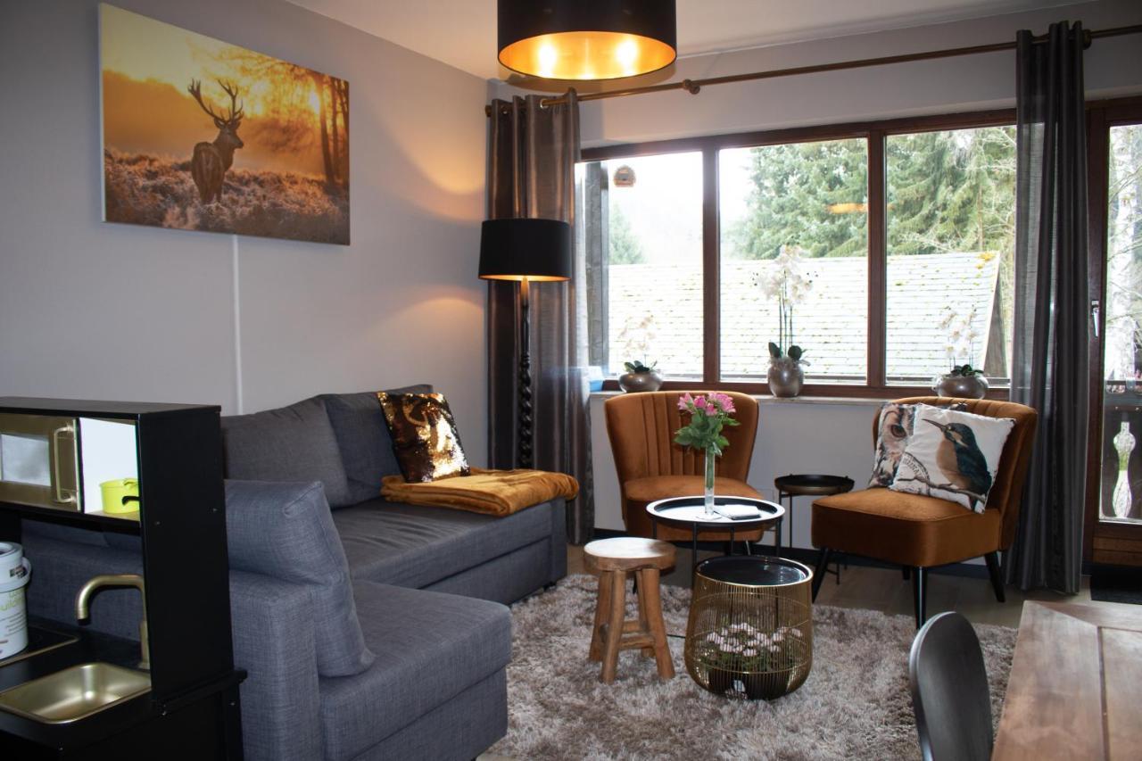 Liemeckeweg 12-h Apartment Winterberg